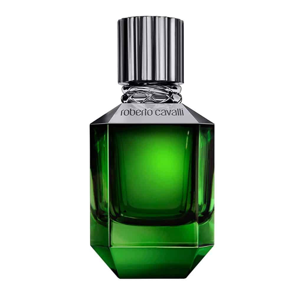 ROBERTO CAVALLI PARADISE FOUND FOR MEN EAU DE TOILETTE 75ML — Roberto Cavalli